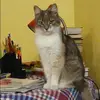 Отзыв от Клара Жукова